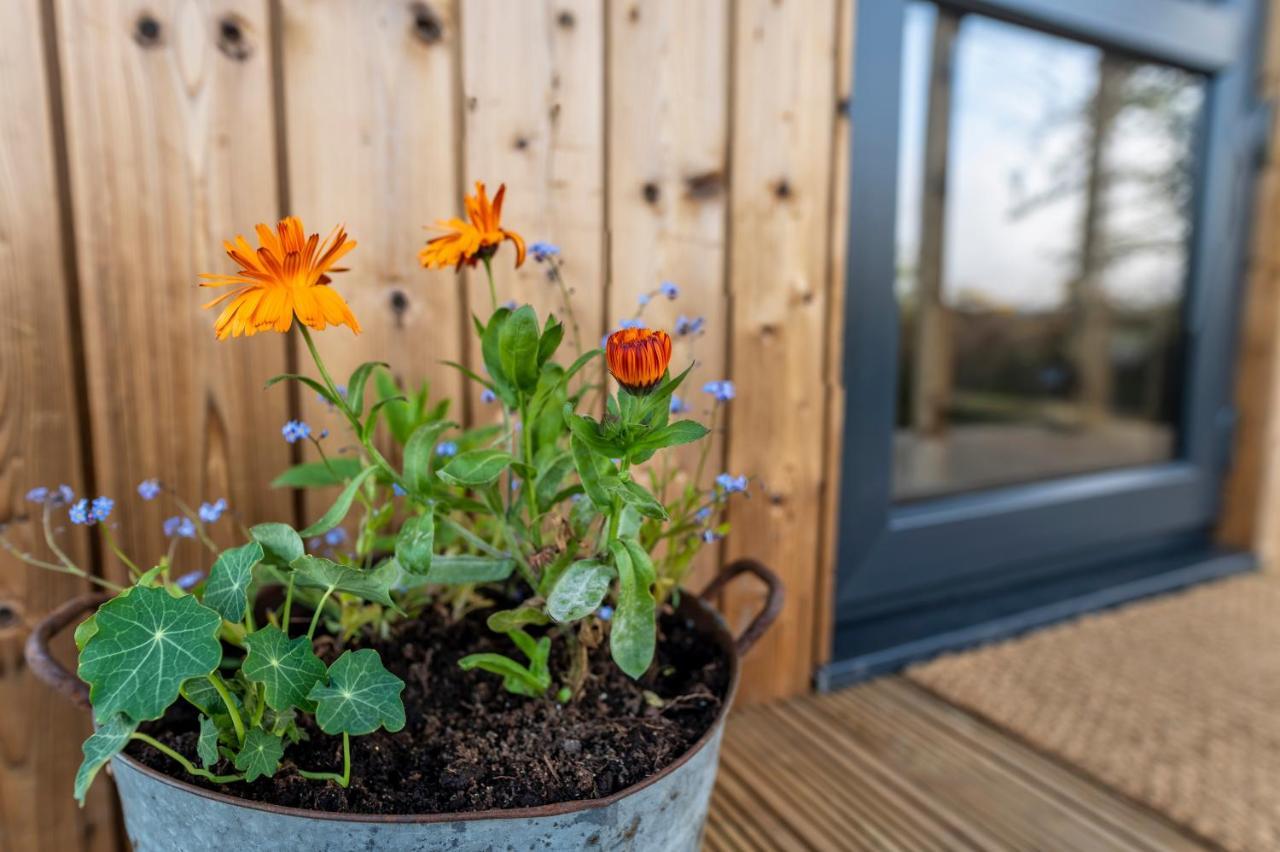 Luxury Glamping Cabin With Outdoor Bath On Cornish Flower Farm Truro Kültér fotó